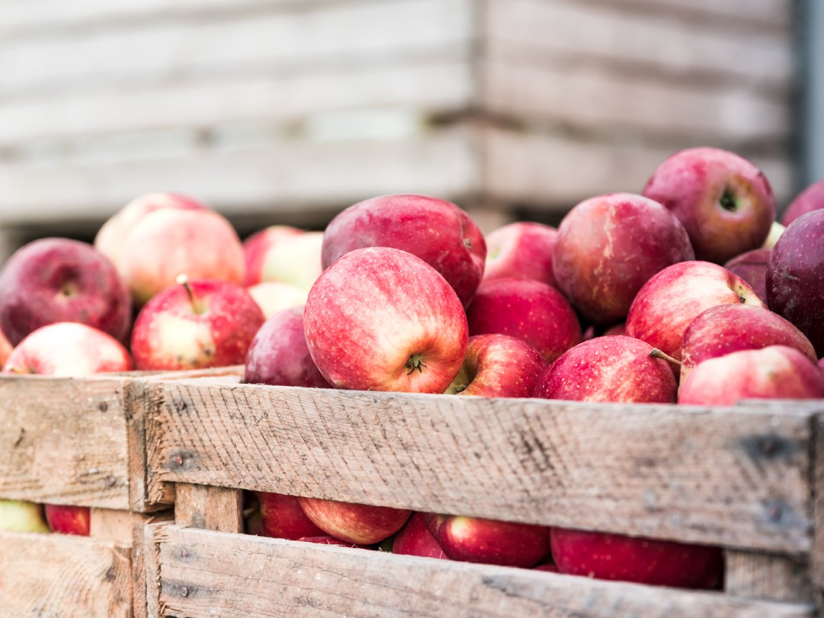  Fresh Organic Fuji Apples 4 Pounds : Grocery & Gourmet Food